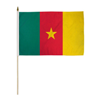 Cameroon Miniature Economy Polyester Flag (12 in. x 18 in.), MCAME1218P