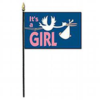 It's A Girl Miniature Flag, MFGIRL46