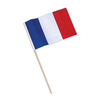 France Cotton Miniature Flag