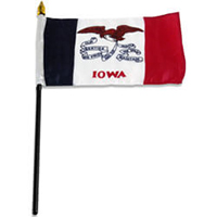 Iowa Miniature Economy Polyester Flag (12 in. x 18 in.), MSIA1218P