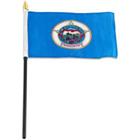 Minnesota Miniature Economy Polyester Flag (12 in. x 18 in.), MSMN1218P