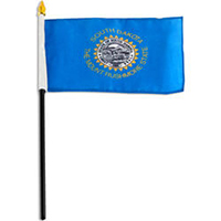 South Dakota Miniature Economy Polyester Flag (12 in. x 18 in.), MSSD1218P