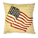 Printed Flag PIllow PARK42054P