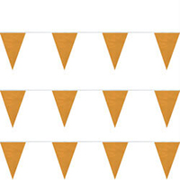 Orange Heavy Duty String Large Pennants