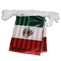 Mexico & U.S. String Pennants