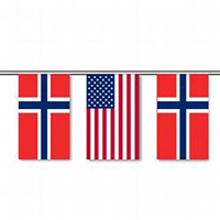 Norway & U.S. String Pennants