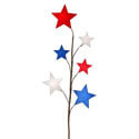 Wooden Americana Star Spray, REMT20939