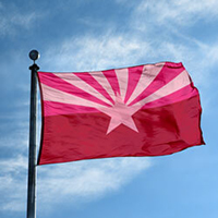 Pink Arizona Flag, SAZ35PK