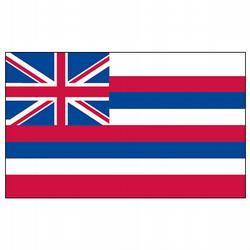 Hawaii Economy Polyester Flag (3 ft. x 5 ft.), SHI35P