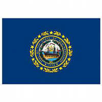New Hampshire Economy Polyester Flag (3 ft. x 5 ft.), SNH35P
