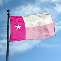Texas Flag, STX35PK