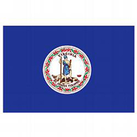 Virginia Economy Polyester Flag (3 ft. x 5 ft.), SVA35P