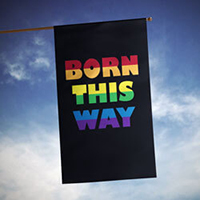 Born This Way House Banner, TOL109520H