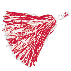 Arkansas Razorbacks Rooter Pom Pom, WINC78687011