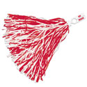 Arkansas Razorbacks Rooter Pom Pom, WINC78687011