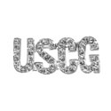 Crystal Coast Guard Pin