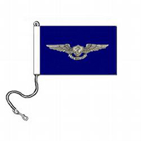Enlisted Air Warfare Award Pennant, ANAVEAWA1924