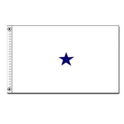 Navy Not of the Line Rear Admiral Lower Half Flag, ANAVYNOL146