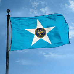 City of Houston Flag, CIHOUS35