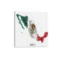 Mexico Flag Watercolor Canvas Print, CPMEXI12