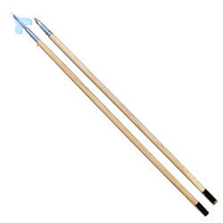 Guidon staff, CPOLE8GCN