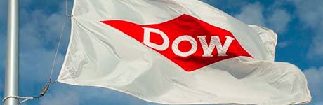 Custom Flags