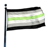 Agender Pride Flag, DFLAG35AGENDER