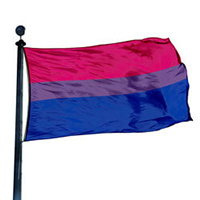 Lesbian Pride Flag, DFLAG35BISEX