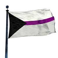 Demisexual Pride Flag, DFLAG35DEMI