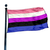 Gender Fluid Pride Flag, DFLAG35GFLUID