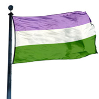 Gender Queer Pride Flag, DFLAG35GQUEER