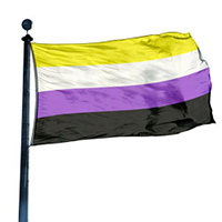 Non Binary Pride Flag, DFLAG35NONB