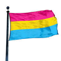 Pansexual Pride Flag, DFLAG35PAN