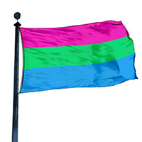 Polysexual Pride Flag, DFLAG35PAN