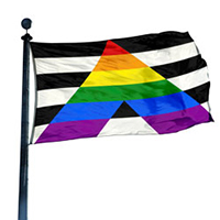 Straight Ally Pride Flag, DFLAG35SALLY