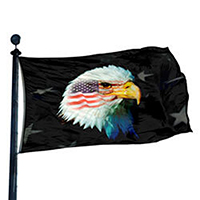 Patriotic Eagle Flag, DFLAG625B