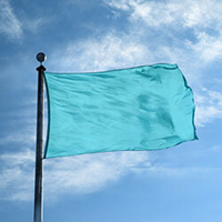 Color Flag: Blueflower