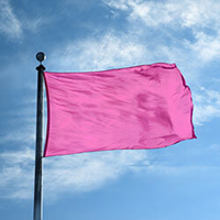Color Flag: Crocus
