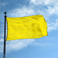 Color Flag: Daffodil