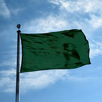 Color Flag: Dartmouth Green