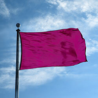 Color Flag: Dahlia