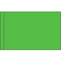 Color Flag with Pole Hem: Mint Green
