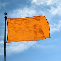 Color Flag: Golden Poppy
