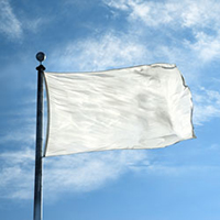Color Flag: White