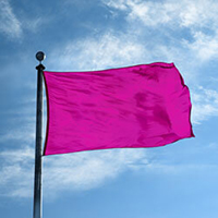 Color Flag: Orchid