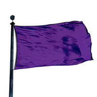 Color Flag: Pansy