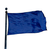Color Flag: Purple