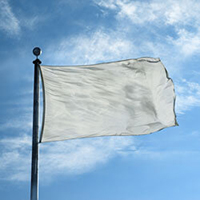 Color Flag: Silver