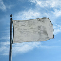 Color Flag: Grey