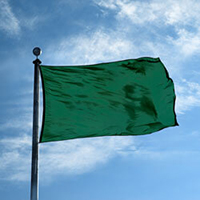 Color Flag: Emerald Green